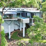 above-the-treetops
